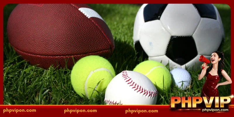 Advancing the Future of Sports Wagering at PHPVIP
