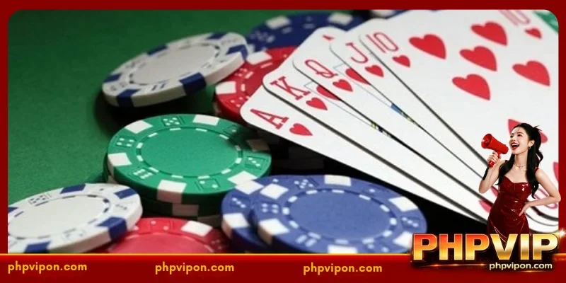 Basic, easy-to-understand rules at PHPVIP you need to know