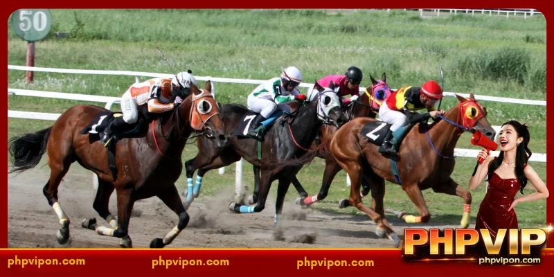 Betting Strategies for Philippine Horse Racin