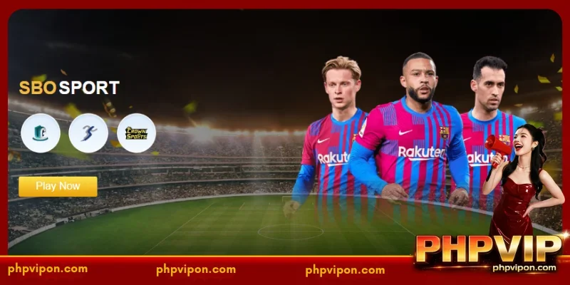 Betting tips to win big at PHPVIP Sports