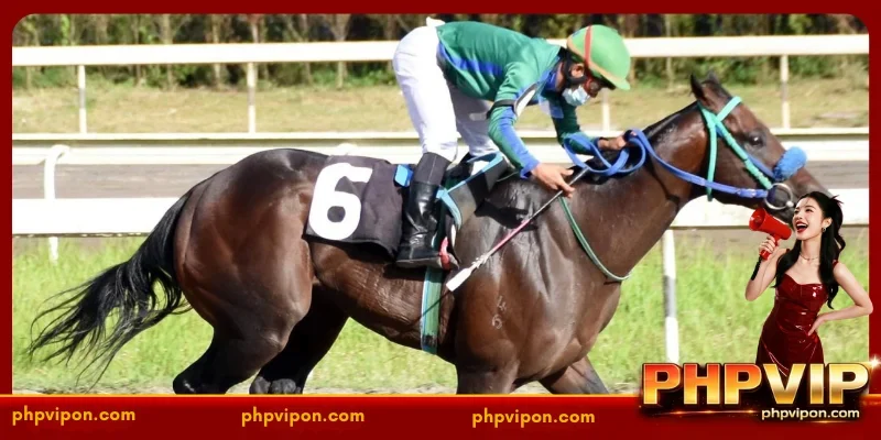 horse-racing-philippines-the-ultimate-to-online-derby-betting