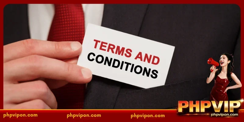 PHPVIP Terms and Conditions - Fair Play