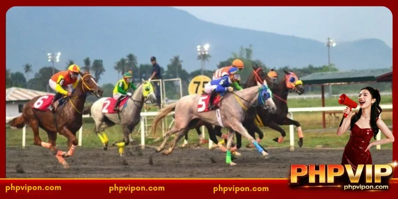 The Diversity of Horse racing Philippines