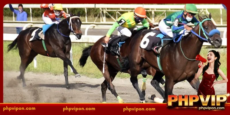 The Significance of Horse racing Philippines in Culture