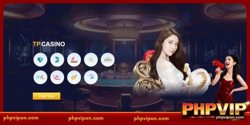 Top-Tier Gaming Studios Working with PHPVIP Casino