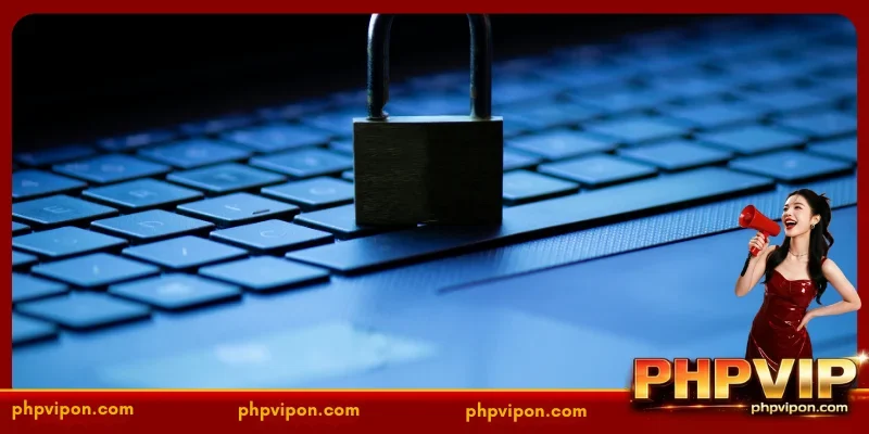 Your Entitlements and Obligations as a PHPVIP User